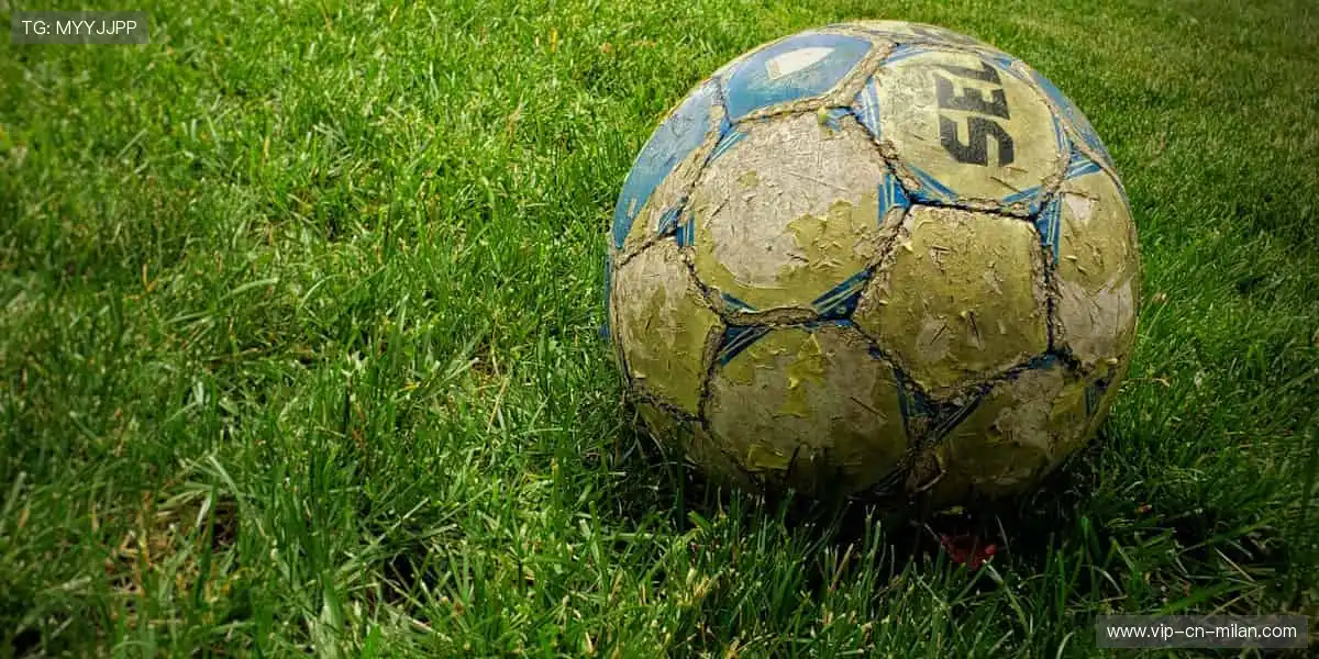 🏆官方正品,解锁你的运动潮流!🎁